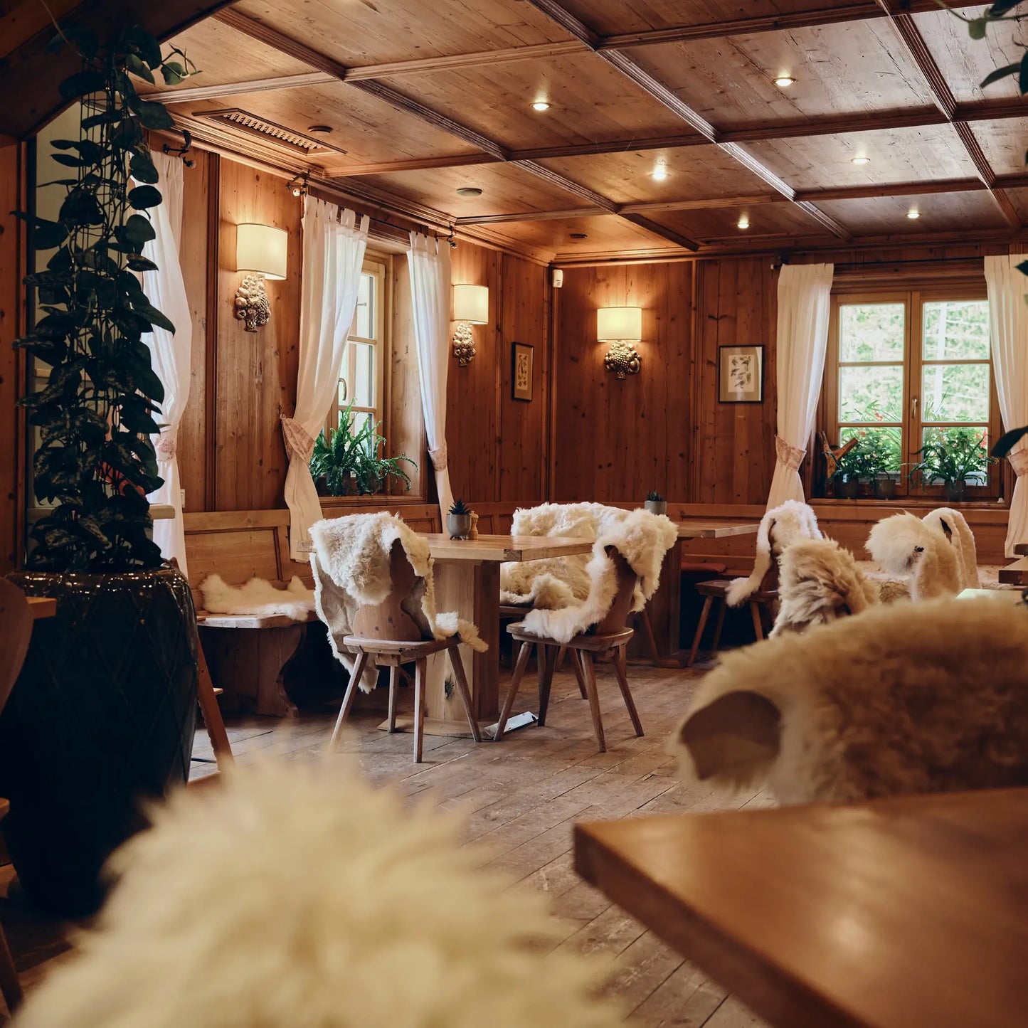 4-Course Fine Dining Experience